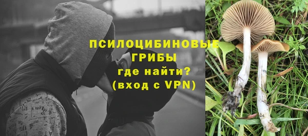 дурь Абаза