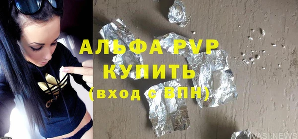 прущие грибы Краснослободск