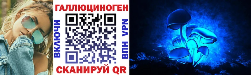закладка  Сычёвка  mega ONION  Псилоцибиновые грибы мицелий 